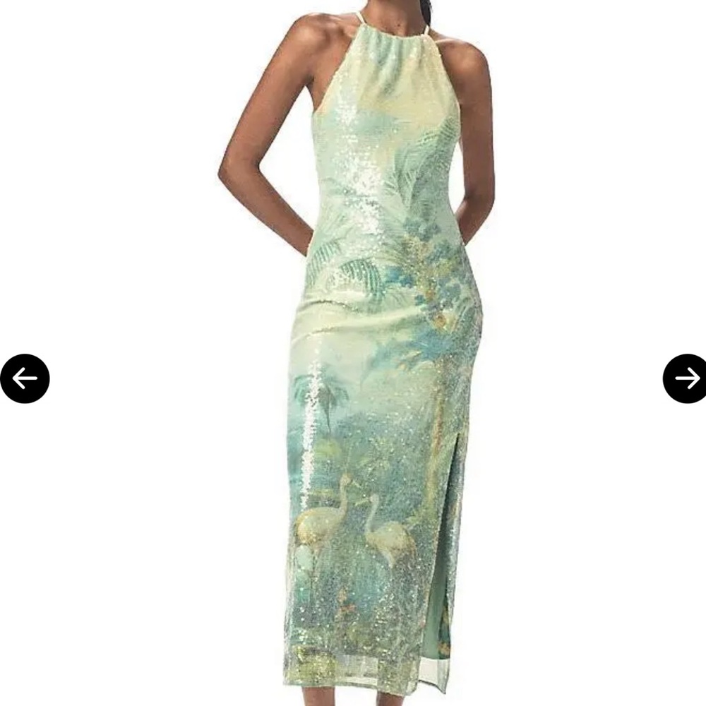ISO XL BHLDN PaulinaHalter Midi Dress Mint Combo any condition